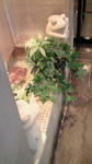 200904191507000.jpg