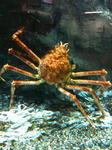 IMG_0062.JPG