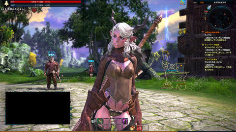 TERA_ScreenShot_20110812_211007.jpg