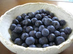 blue.JPG