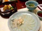 fugu.ten.JPG