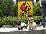 camp.JPG