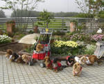 kinen3.JPG