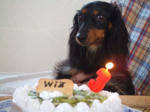 cakewi.jpg