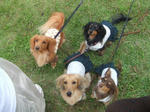 2008_10120093.JPG