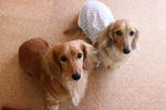 resize0067.jpg