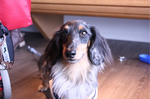 resize0201.jpg