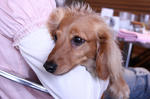 resize0204.jpg