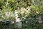 IMG_6805.JPG