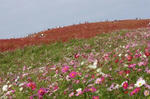 IMG_7651.JPG