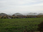 RIMG5745.jpg