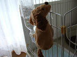 RIMG5992.jpg