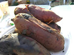 RIMG6633.jpg