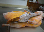 RIMG8223.jpg