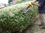 RIMG8340.jpg