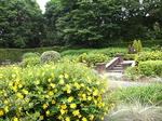RIMG8346.jpg