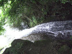 RIMG8354.jpg