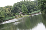 RIMG8368.jpg