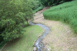 RIMG8371.jpg