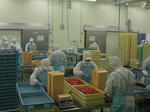 RIMG8442.jpg
