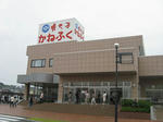RIMG8465.jpg