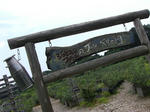 RIMG8845.jpg