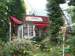RIMG8847.jpg