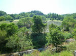 RIMG10067.jpg