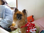 RIMG10435.jpg
