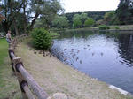 RIMG10611.jpg