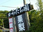 RIMG10953.jpg