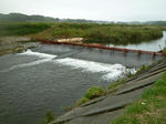 RIMG11038.jpg