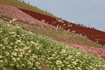 RIMG11371.jpg