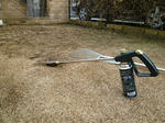 RIMG12767.jpg