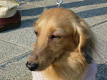 RIMG12773.jpg
