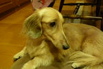 RIMG12780.jpg
