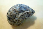 RIMG12787.jpg