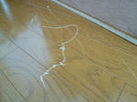 RIMG12821.jpg