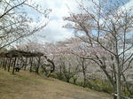 RIMG12874.jpg