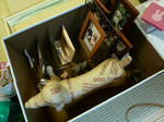 RIMG12894.jpg