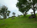resize0147.jpg