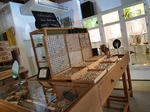 resize0152.jpg