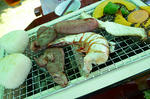 resize0209.jpg