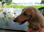 resize0339.jpg