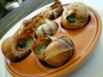 resize0342.jpg