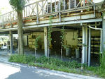 resize0345.jpg