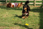 resize0504.jpg