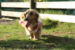 resize0506.jpg
