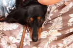 resize0605.jpg