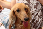 resize0607.jpg